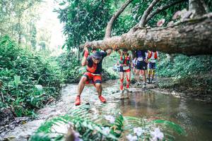 BIB: 
                            <button type="button" onclick="openModal(25451146)" class="btn btn-primary btn-sm float-right btn-popup" data-toggle="modal" data-target=".modal-high-quality">
                        <i class="fas fa-shopping-cart"></i> Add to Cart
                    </button>
                                            <button type="button" onclick="isThisMe(25451146, true)" class="btn btn-success btn-sm float-right btn-popup btn-isme hidden" data-toggle="tooltip" data-placement="bottom" title="นี่คือรูปของคุณใช่ไหม คลิกที่นี่เพื่อเอาเข้าอัลบั้ม">
                        <i class="fas fa-plus"></i> Add to album
                    </button>
                    <button type="button" onclick="isThisMe(25451146, false)" class="btn btn-warning btn-sm float-right btn-popup btn-isnotme hidden">
                        <i class="fas fa-ban"></i> Remove from album
                    </button>